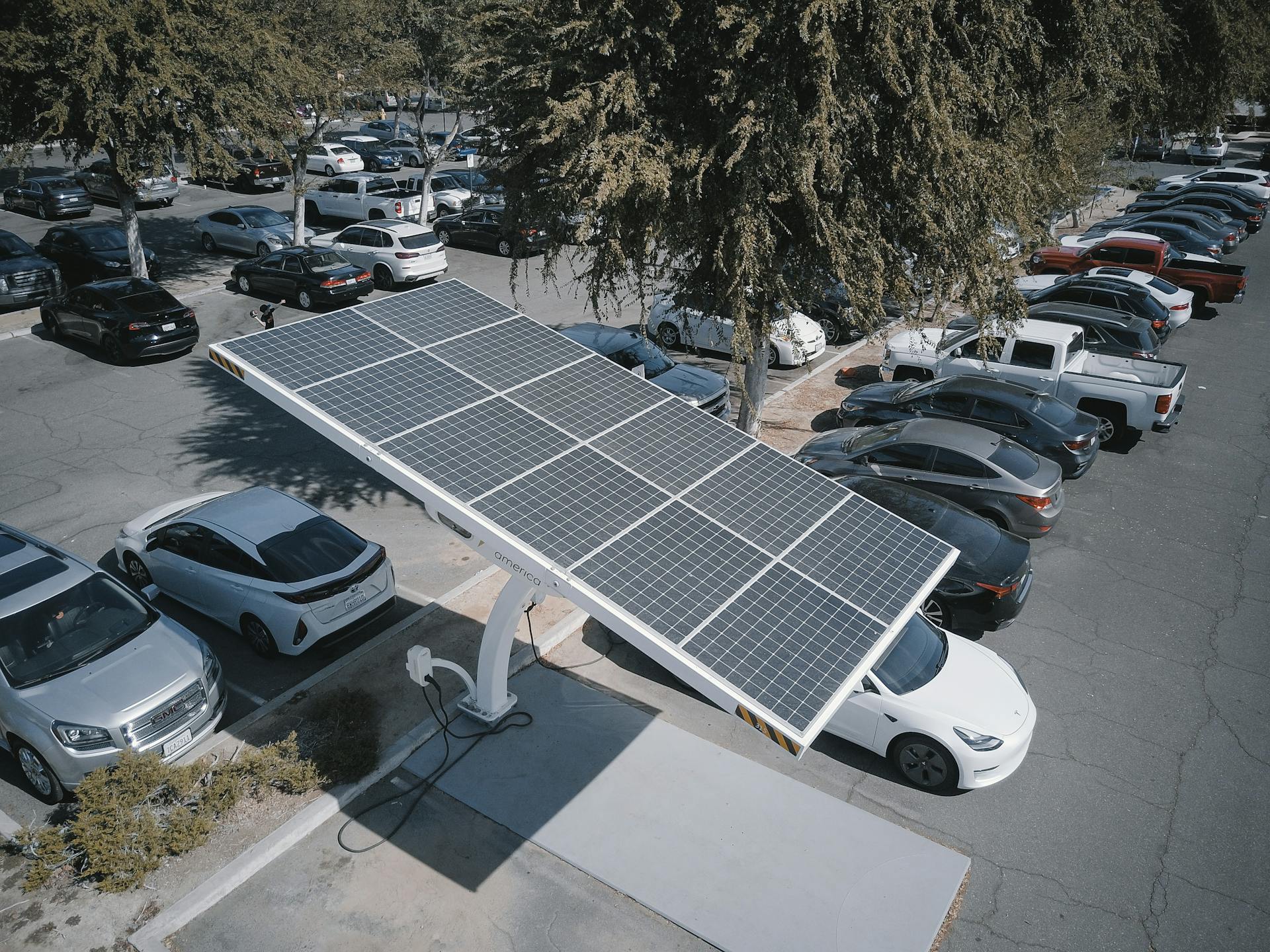 Thumbnail for Sustainable Practices for Eco-friendly Car Rentals